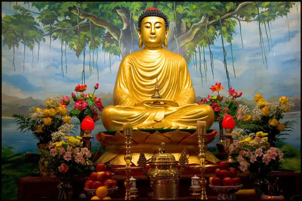 5 Kata Mutiara Sidharta Gautama